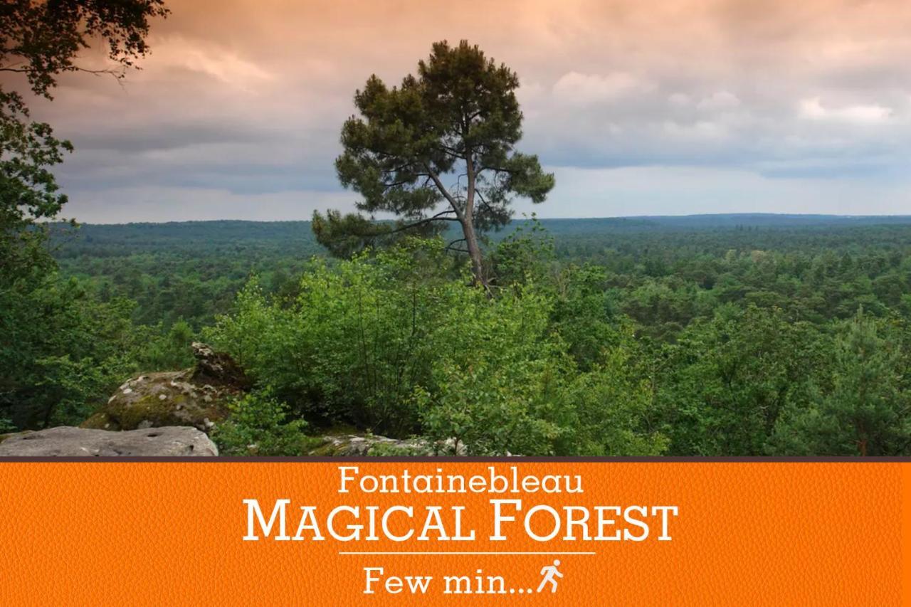 Duplex standing 7min➤Fontainebleau-INSEAD⎮45min➤Paris Apartment Veneux-les-Sablons Bagian luar foto